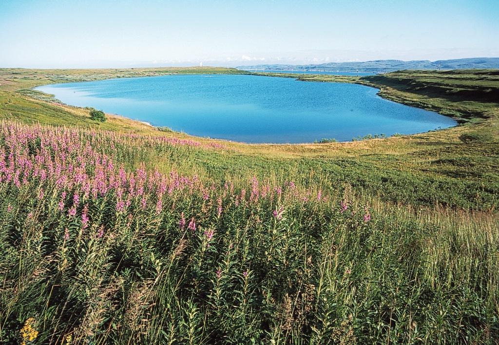 Озеро Могильное - памятник природы