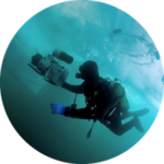 Байкал и Мастер. Андрей Некрасов показал и рассказал, как именитый Дидье Нуаро снимает подводное кино, которому в будущем уготованы призы и премии.